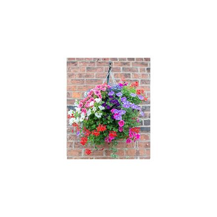 Two expert-made hanging baskets Image