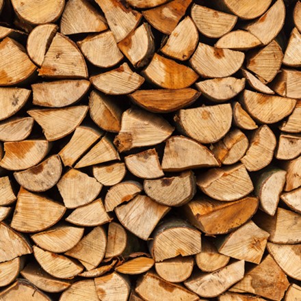 Kiln-dried logs and kindling Image