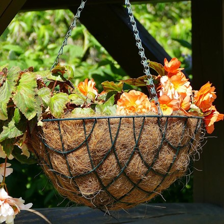 Two expert-made hanging baskets Image