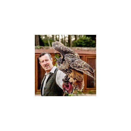 St John's Manor tour and falconry Image