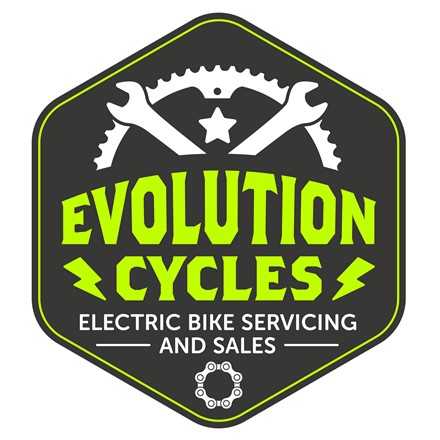 Service your electric bike Image