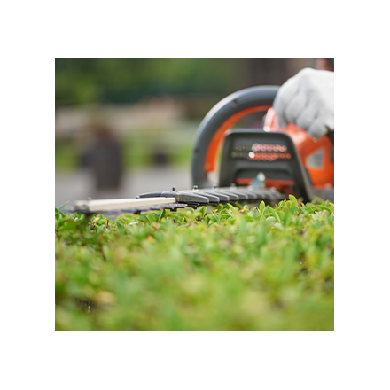 Stihl hedge trimmer and blower Image