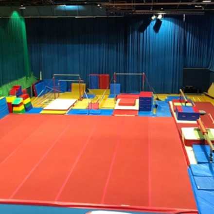 Gymnastic or Trampoline Lessons Image