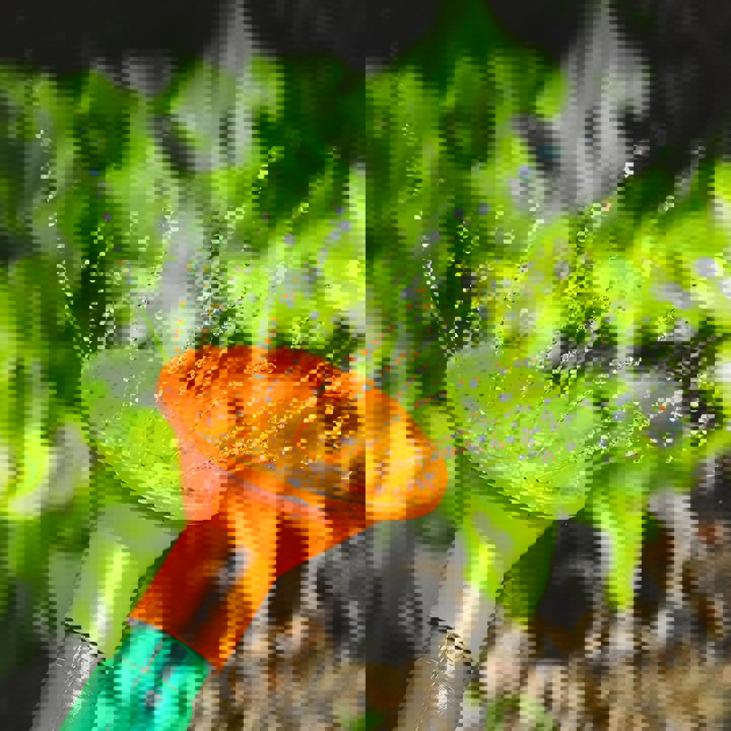 114